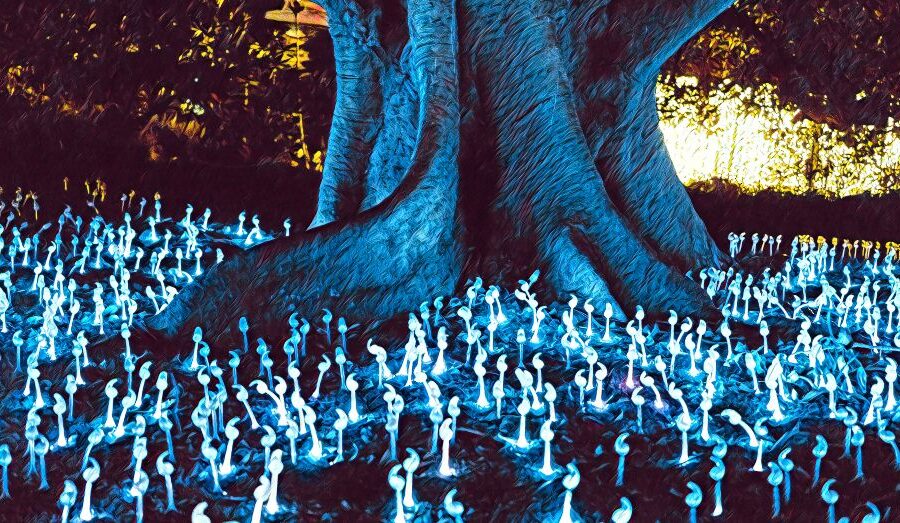 Encounters in a dark enchanted forest