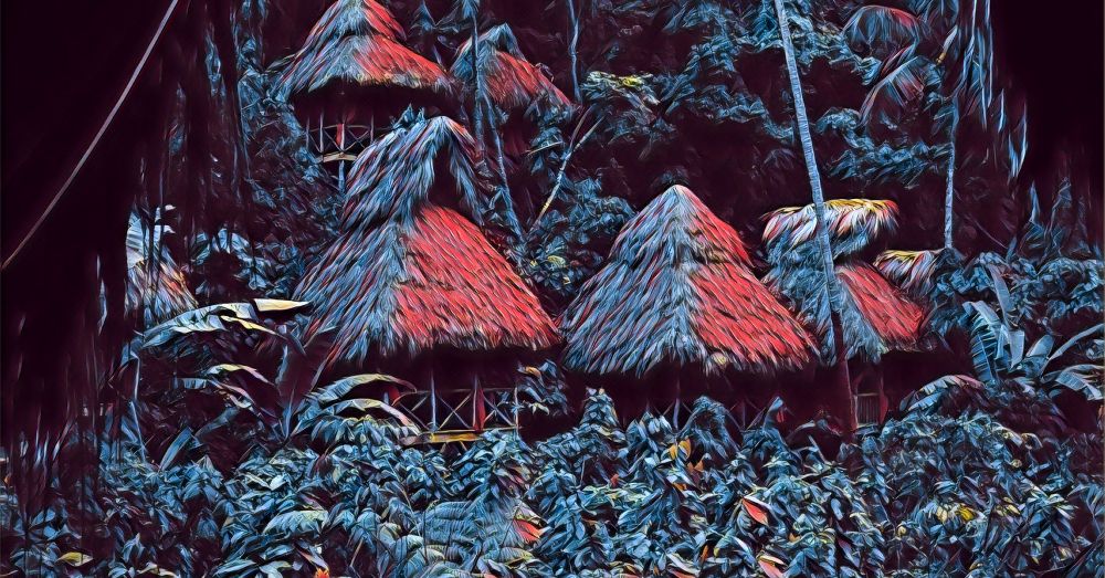 D66 Jungle encounters: Veiled mysteries amidst verdant canopies