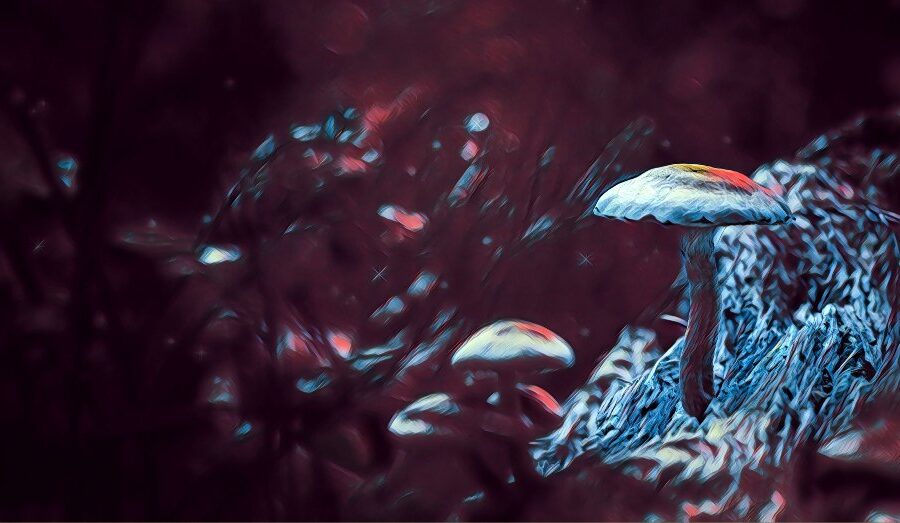 halfling names generator dnd ttrpg