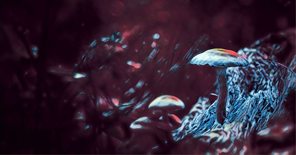 D66 Halfling names – Short, sweet and positive halfling names!